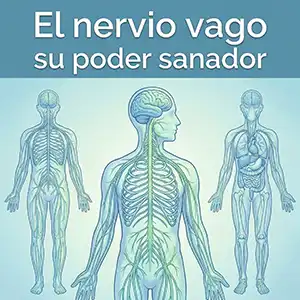El nervio vago